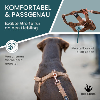 Hundegeschirr + Leine Set "Argos" inkl. Geschenkbox