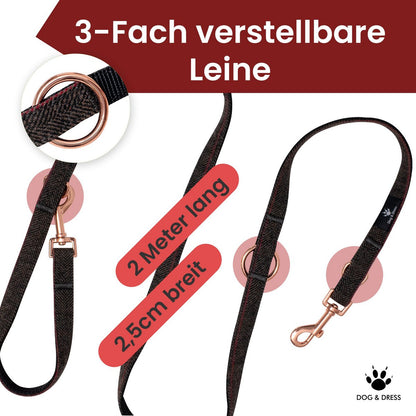 Hundehalsband + Leine Set "Passion" inkl. Geschenkbox