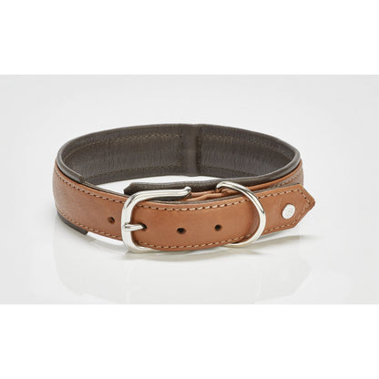 AMICI Dog Collar Cognac