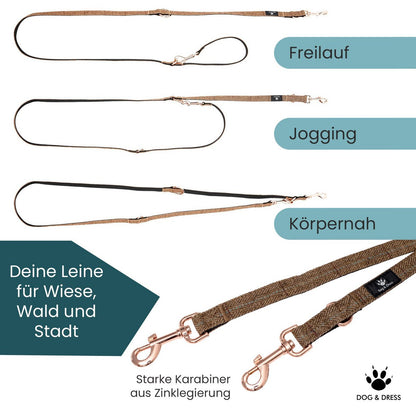 Hundehalsband + Leine Set "Argos" inkl. Geschenkbox