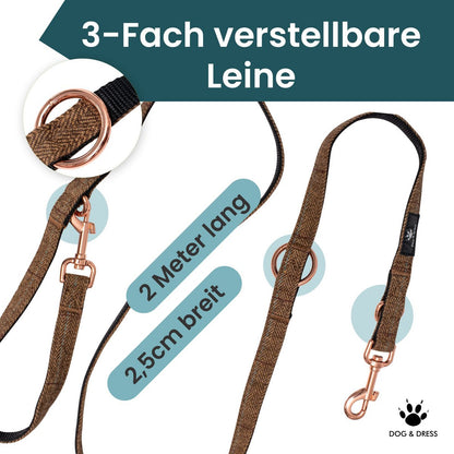 Hundehalsband + Leine Set "Argos" inkl. Geschenkbox