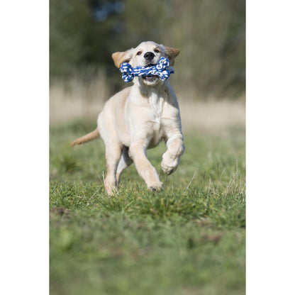 Bonnie Bone Blau und Weiß