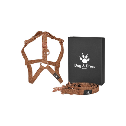 Hundegeschirr + Leine Set "Argos" inkl. Geschenkbox