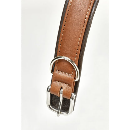 AMICI Hundehalsband Cognac