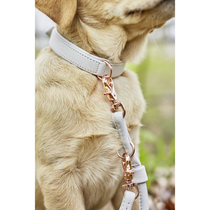 AMICI Hundehalsband Light Grey