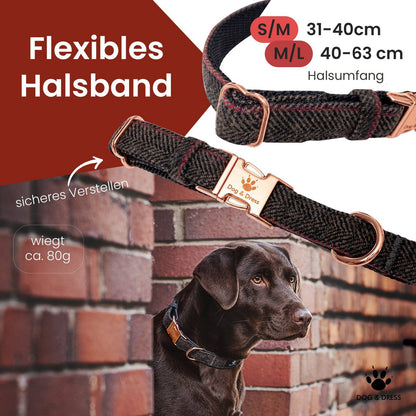 Hundehalsband + Leine Set "Passion" inkl. Geschenkbox