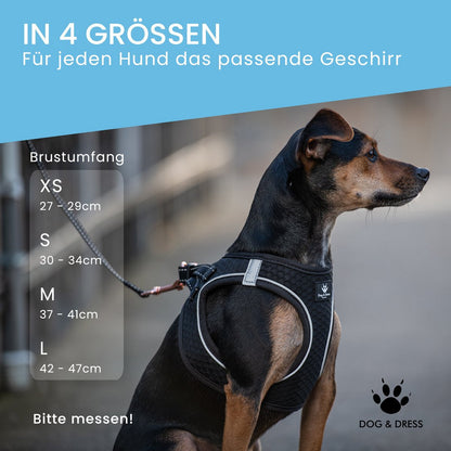 Hundegeschirr + Leine Set "Little one" für Welpen