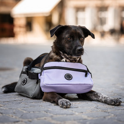 Gassibag Tasche mit Leckerlifach und Kotbeutelrollen