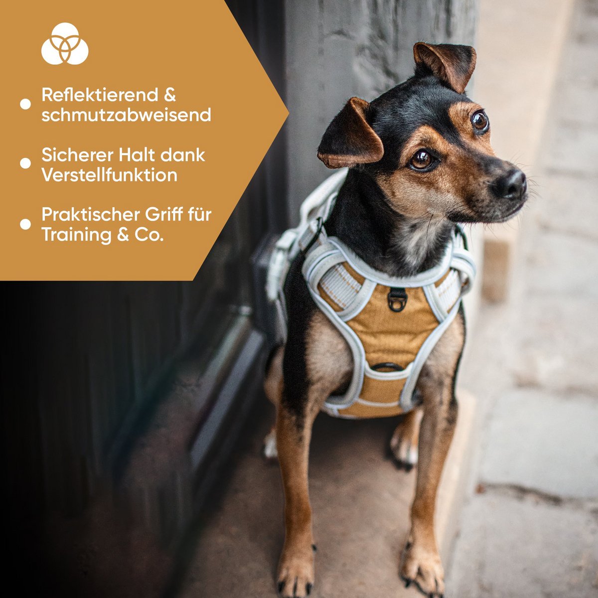 Hundegeschirr "Rocket"