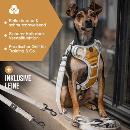 Hundegeschirr + Leine Set "Rocket"