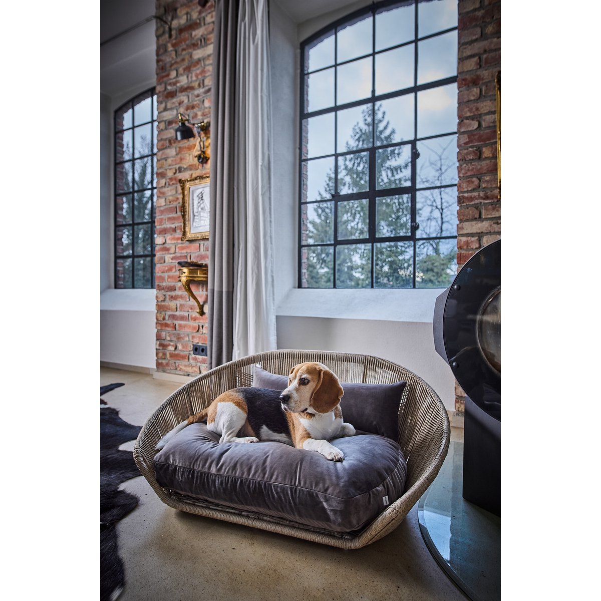 VOGUE Design Hundebett OXFORD