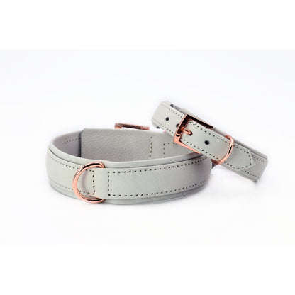 AMICI Hundehalsband Light Grey