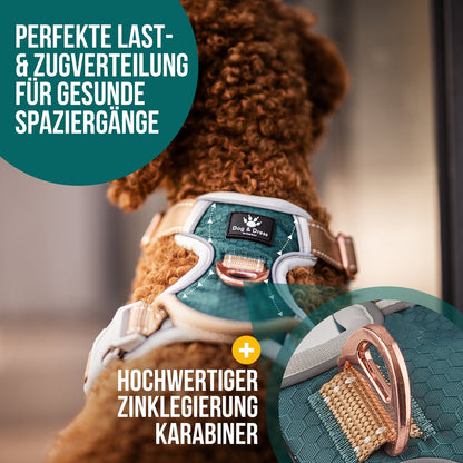 Hundegeschirr + Leine Set "Rocket"