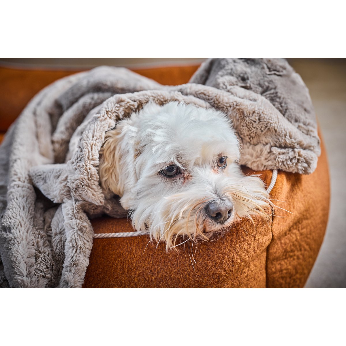 COZY Faux Fur Kuscheldecke