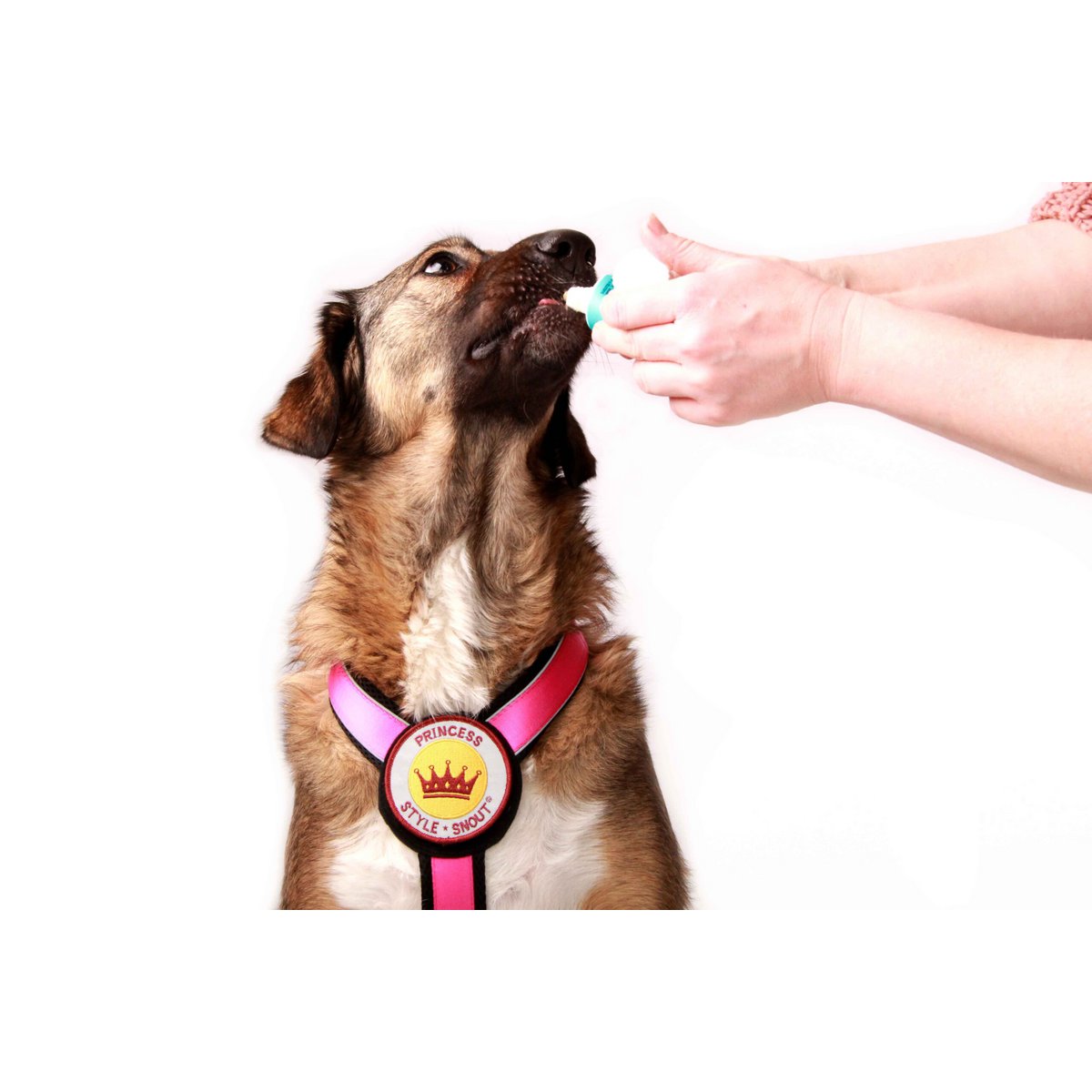 Chest harness - Patch&amp;Style - Pink-Black