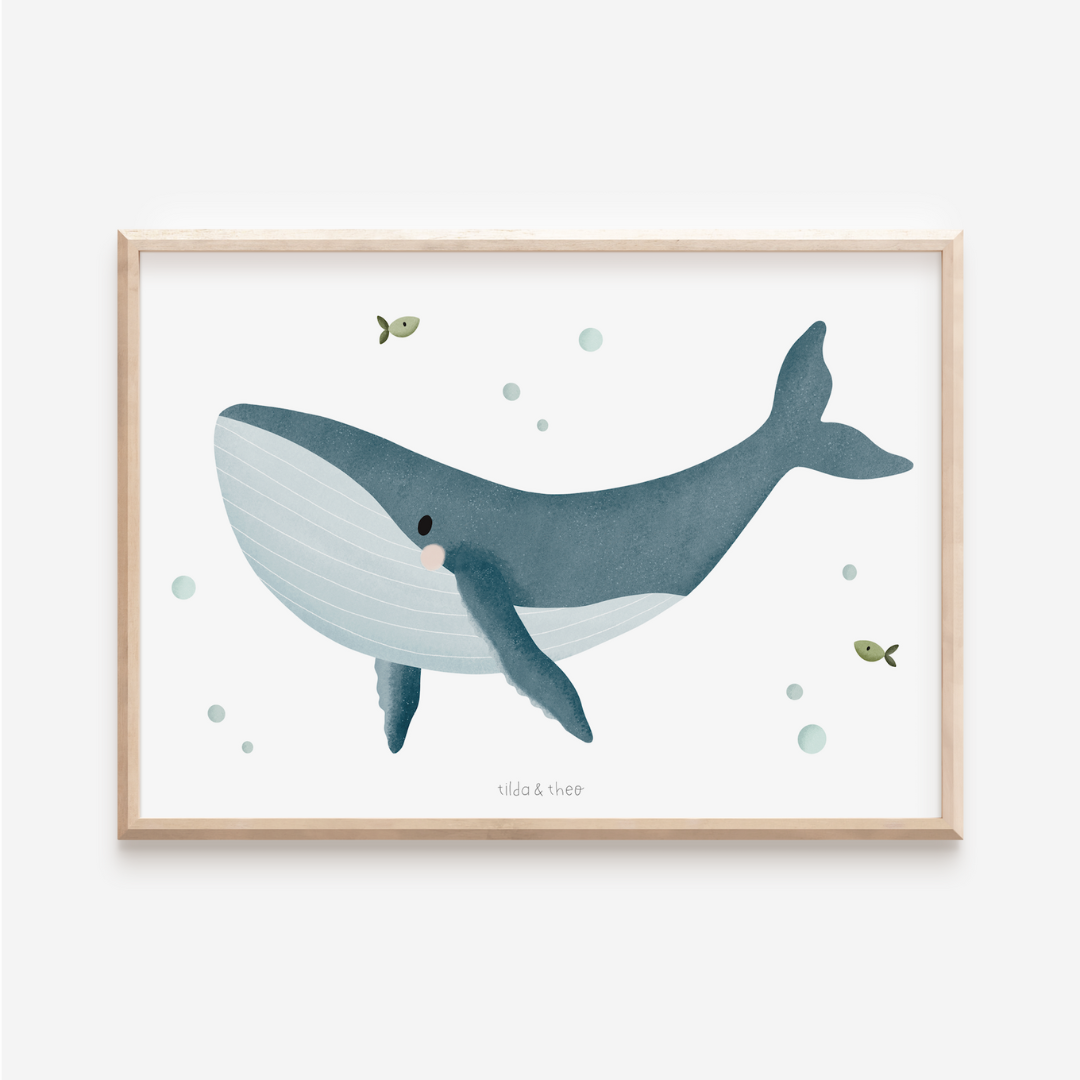 Poster Whale - marine animals humpback whale