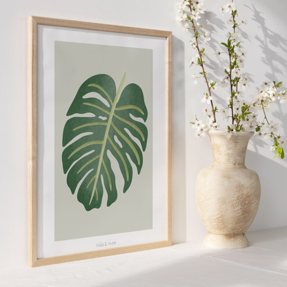 Poster Monstera Zimmerpflanze - Boho Pflanze Botanischer Print