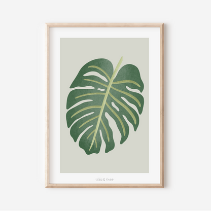 Poster Monstera Zimmerpflanze - Boho Pflanze Botanischer Print