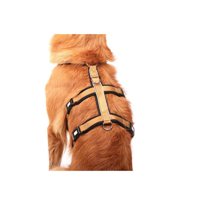 Safety harness - Patch&amp;Safe - Gold-Black