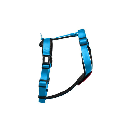 Chest harness - Patch&amp;Style - Azure-Black